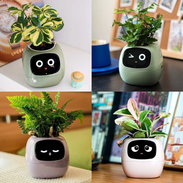 Smart Flowerpot - Image 6