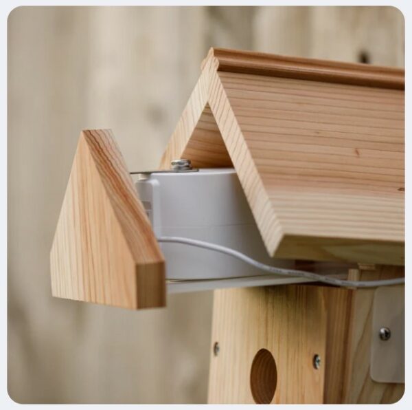 Bird Box & Camera System - Image 8